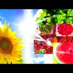 Vegan Recipes – Whole Food Plant Based Encyclopedia