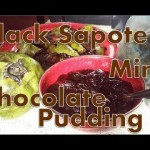 YUMMY Black Sapote Chocolate Mint Pudding! (Recipe Experiment)